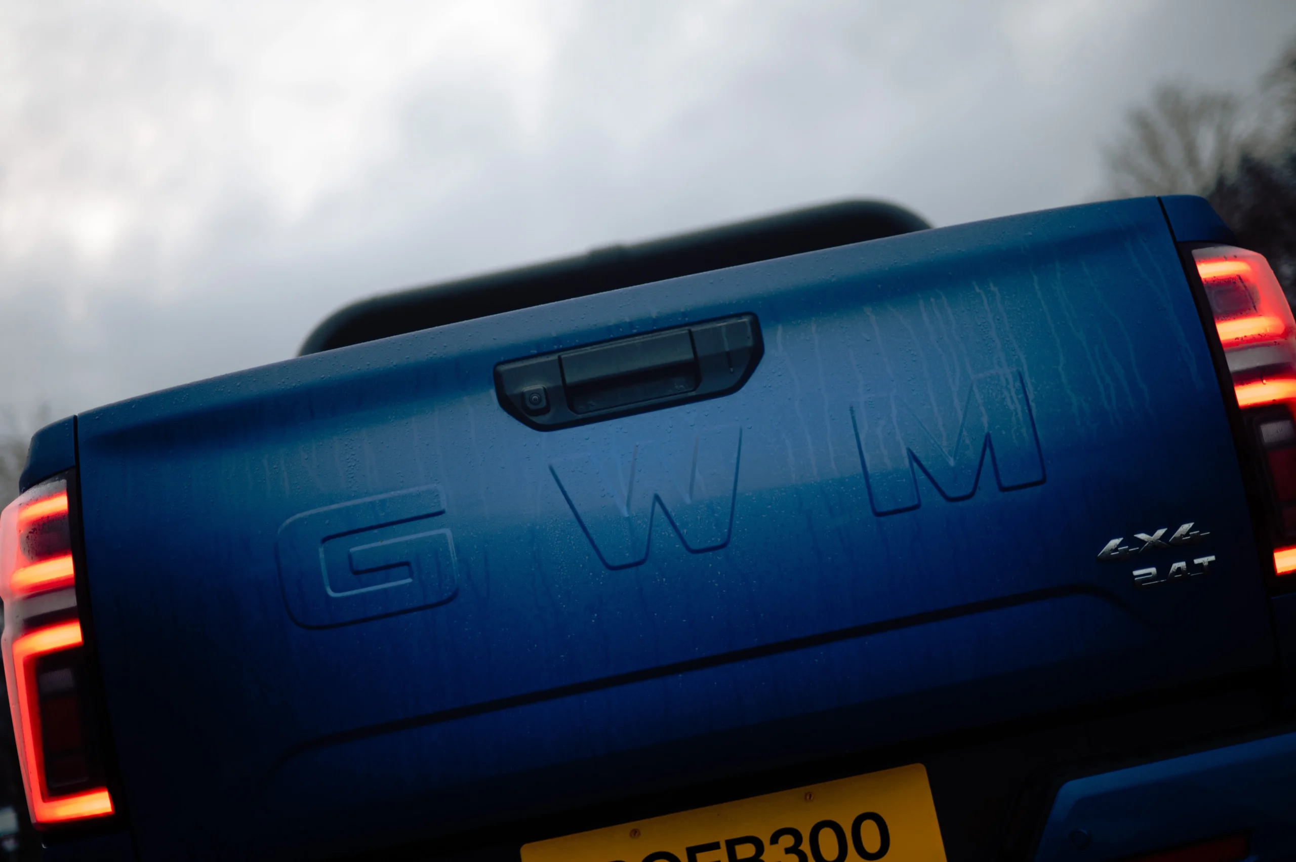 GWM Poer Passenger